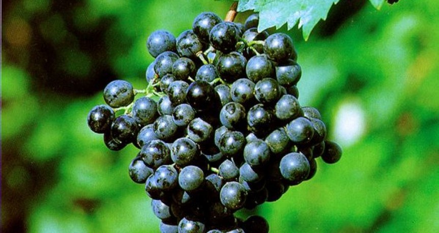 blog image